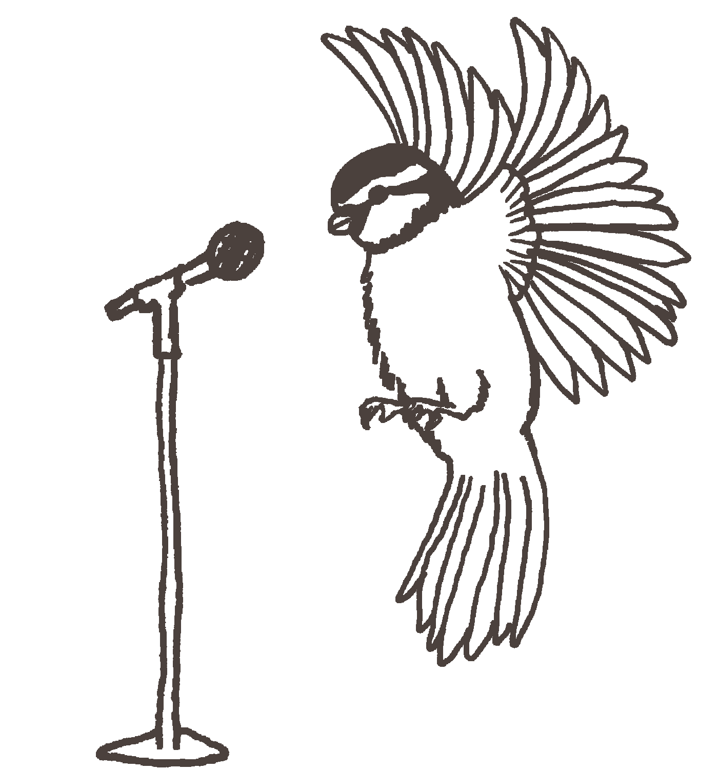 Bird Singing into Microphone Sketch